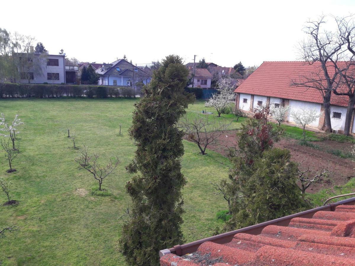 Villa Kysucka Senec Buitenkant foto